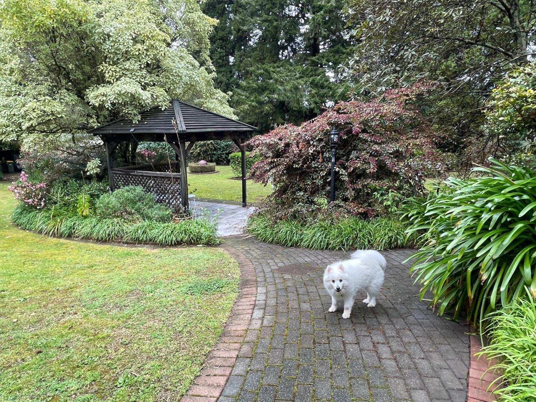Garden Paradise In Rotorua With Pool Exterior foto